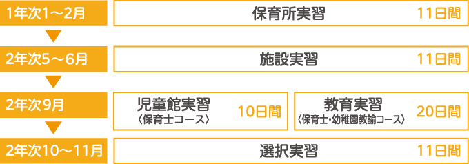 実習の流れ